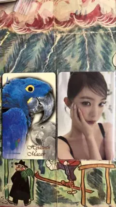 Cosmic アイリーン トレカ