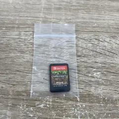 マイクラフト ソフト