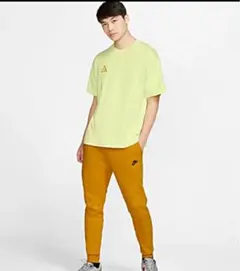 NIKEナイキ ACG Tシャツ