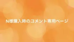 N様購入時のコメント専用ページ