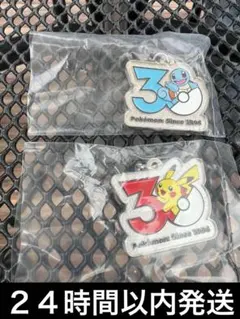ポケモン 30周年記念 ゼニガメ　ピカチュウメタルチャームめじるし2種セット