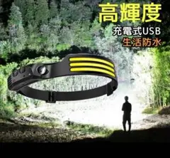 GWセール　 充電式 夜釣 LED USB type-c キャンプ 釣り 登山のサムネイル