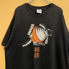 2025年最新】クリバンキャット 相撲の人気アイテム - メルカリ