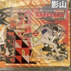 ハイキュー アクリルフィギュアコレクション 第1弾 烏野高校 アクフィ 影山飛雄