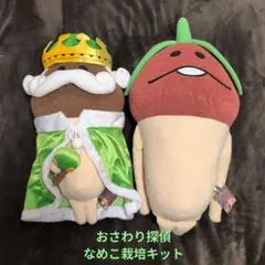 おさわり探偵なめこ栽培キット BIG ぬいぐるみ 2体セット