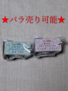 2026年最新】アイドルホースミニコレクションの人気アイテム - メルカリ