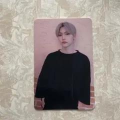 バンチャン GOLIVE GO生 Stray Kids SUBK トレカ - メルカリ