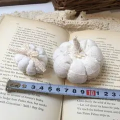 オーダー受付終了♡ かぼちゃさん２つセット♡