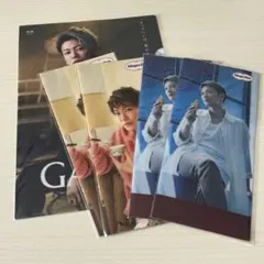 佐藤健　さとうたける　ファイル　GATSBY ハーゲンダッツ　購入特典