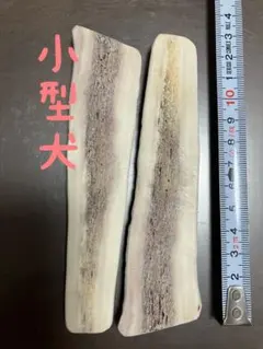 鹿の角　半割　41番のサムネイル