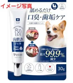 歯科医師×獣医師W監修】犬 歯磨き粉 猫 歯磨きジェル 歯磨き 歯石除去アニケアのサムネイル