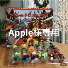 新品　アドベントカレンダー　イタリアンブレインロット　クリスマスプレゼント