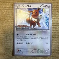 ポケモンカード イーブイ プロモ 213/BW-P ジムプロモ 9879 - メルカリ