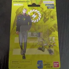 バイタルブレス　VITAL BRACELET BE パルスモン Dim