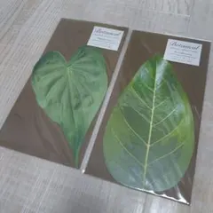 グリーティングカード　多目的