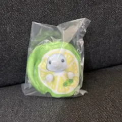 シルバニアファミリー 赤ちゃんフルーツパーティー　ゾウの赤ちゃんとライム衣装