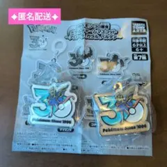 ポケモン 30周年 メタルチャームマスコット ザマゼンタ 2点セット