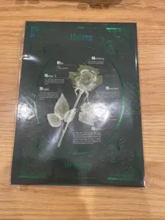 [会場限定]Adotomy グッズ付きチケット特典　大阪