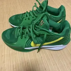 Item thumbnail for item e6fa1f3b-2281-41a0-a1e6-759b40f5f169