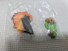 ベタ　フィギュアと水草セット