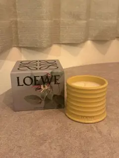 2025年最新】LOEWE キャンドルの人気アイテム - メルカリ
