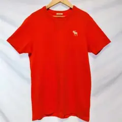 アバクロンビー&フィッチ メンズ Tシャツ M オレンジ ムースロゴ刺繍