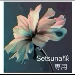 Setsuna様　専用