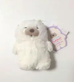 新品タグ付き　ムクムクむっくん マスコットぬいぐるみ にんきもの　mukkunのサムネイル
