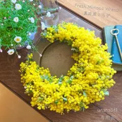 ☘️専用品☘️ フレッシュ ミモザ 三日月 リース　パールアカシア