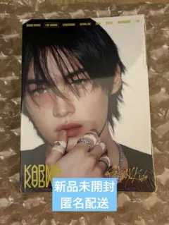 Stray Kids スキズ KARMAアコーディオン 新品未開封リノ