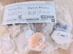 たまごっちカプセルフロッキーズ＠みみっち、めめっち