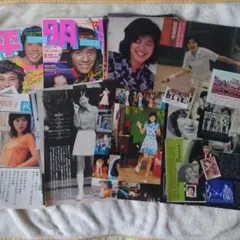 2026年最新】桜田淳子 切り抜きの人気アイテム - メルカリ