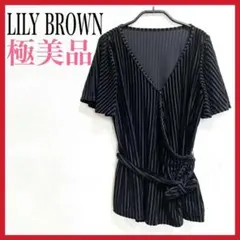 【極美品】LILYBROWN/リリーブラウン　ベロアシースルートップス