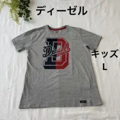 DIESEL INDUSTRY ロゴプリント Tシャツ グレー　Lのサムネイル