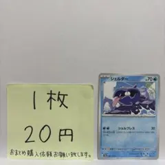 ポケモンカード シェルダー 在庫数3
