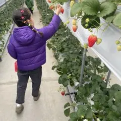 MARKEY’S ジャケット