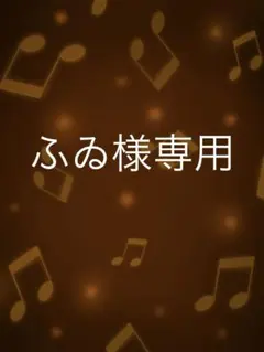 ふゐ様専用ページ