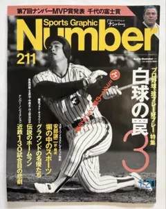 スポーツグラフィックNumber211 白球の罠3