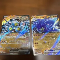 ポケモンカード スナノケガワex キラフロルex 2枚セットのサムネイル