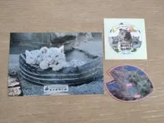 Item thumbnail for item fd0c179f-c9d0-4ae1-8beb-7572a91e4b20