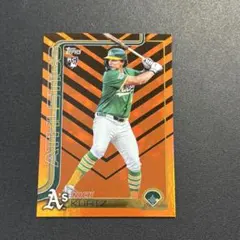 Item thumbnail for item 7f6d8356-3a49-4f44-a284-3f51259e8c1e