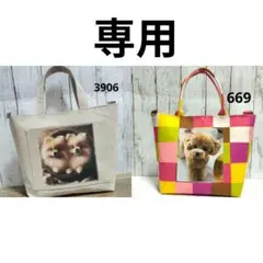 669　3906 まとめ商品