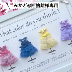 みかど@様専用 ①②ドレス色当てクイズ ドレス当てクイズ 投票ボックス BOX