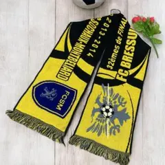 FC BRESSURE×FC SOCHAUX-MONTBELIARD マフラー