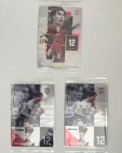 バレーボール 男子バレー ウエハース 2026 高橋藍 サイン ノーマル セット