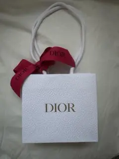 【匿名発送】Dior ショッパー ミニ