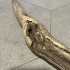 Item thumbnail for item 9ff511ba-ddb2-4b6d-826a-5f5bf1349fad