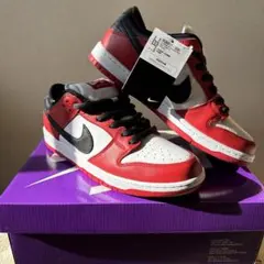 Nike ＳＢDunk Low CHICAGO シカゴ ２８センチ 新品