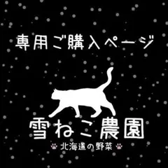 みどり様 リクエスト 2点 まとめ商品（ミニキャロット、レッドハーモニー）