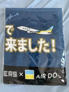 北海道日本ハムファイターズ AIRDOで来ました！タオル